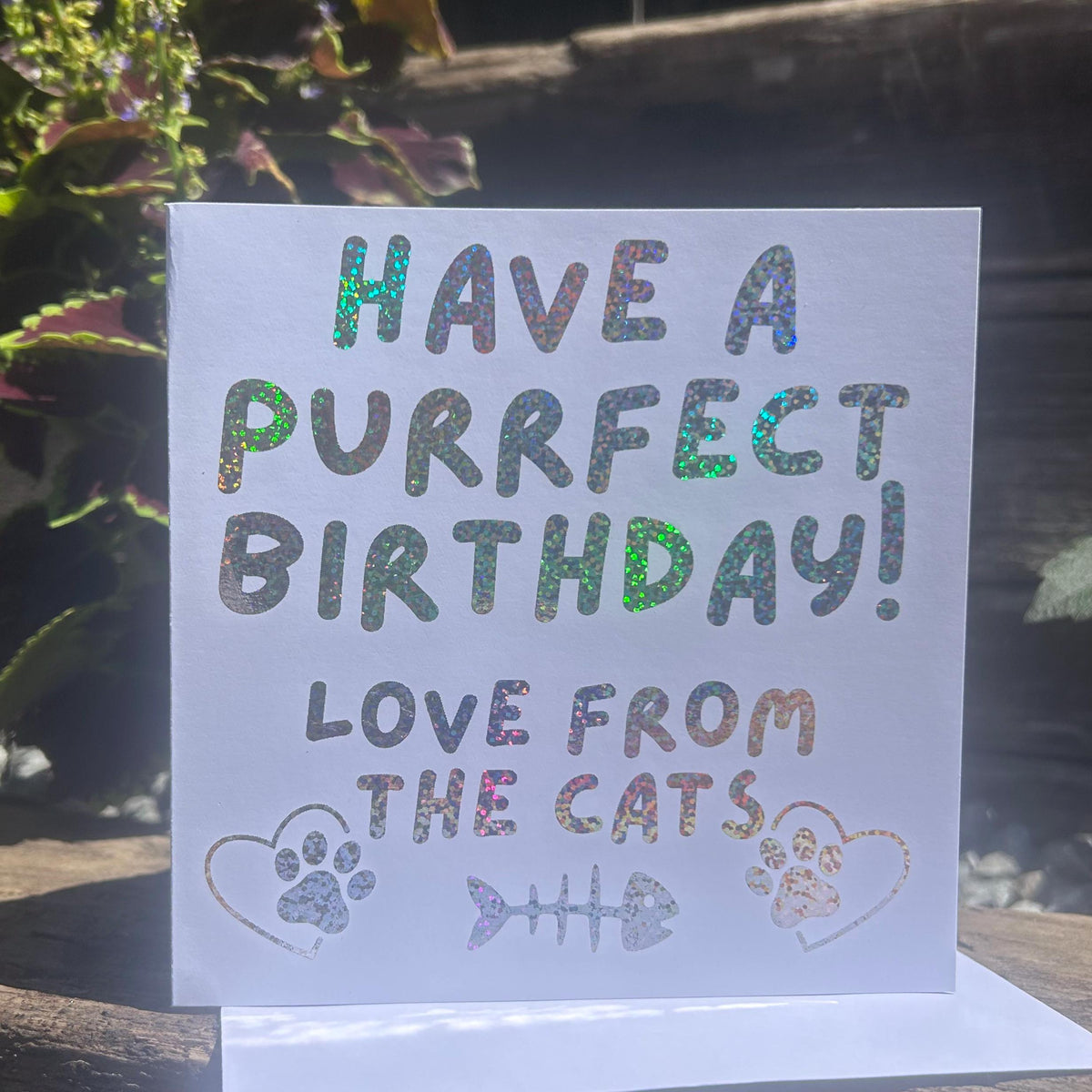 Dog Cat Mum Dad Pet Birthday Card, Celebration Greeting, Personalised Foiling Option